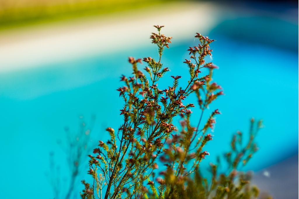 Quinta Do Cerqueiral Villa Arcos de Valdevez Bagian luar foto